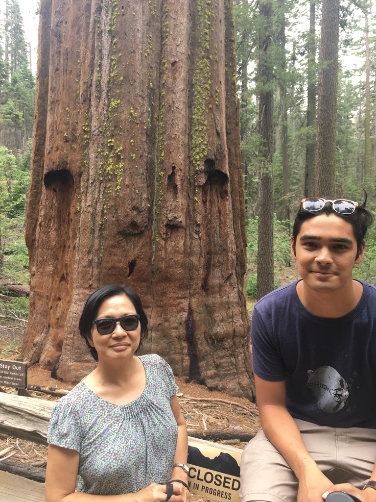 Terry and her son Tim among the sequoias on her 60th birthday road trip, 2017